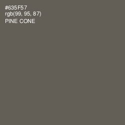#635F57 - Pine Cone Color Image